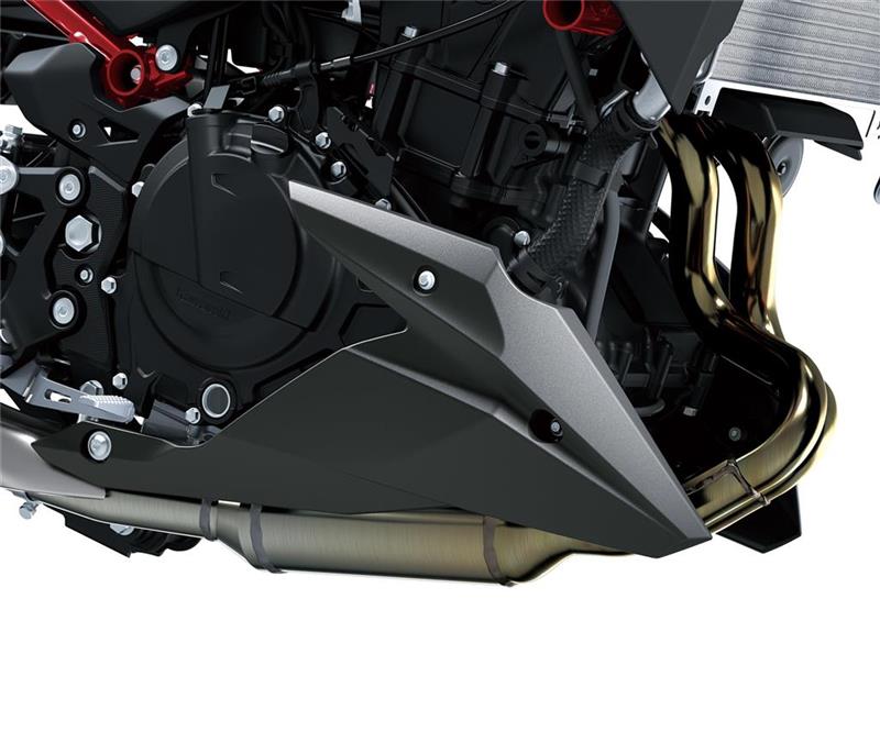 Lower cowling (Bellypan)-image