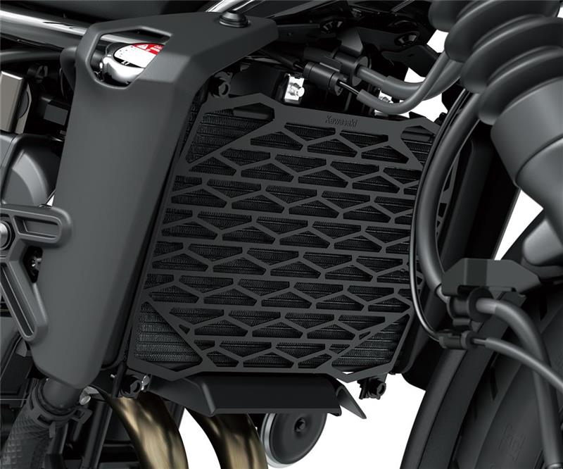 Radiator screen (Black)-image